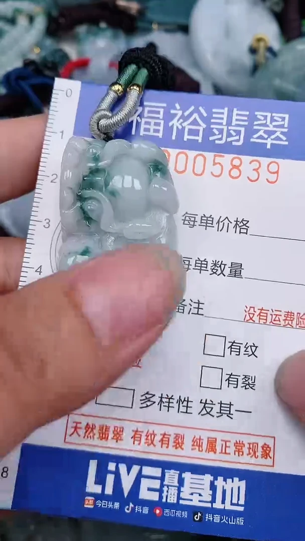 翡翠未镶嵌颈饰...0005839