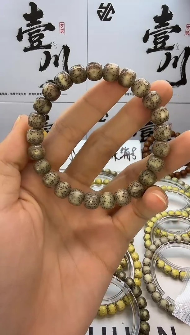 手串星月菩提9/8 冰糖玉化 同枝果  C20
