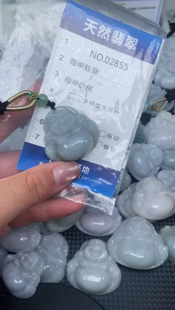 颈饰未镶嵌翡翠纯天然A货翡翠2855