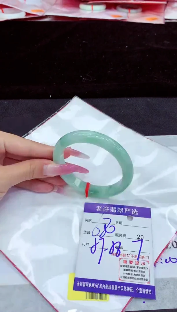 未镶嵌手镯翡翠1