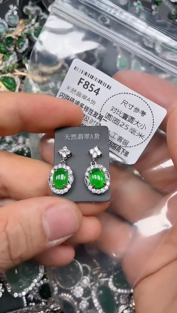 颈饰未镶嵌翡翠F854耳钉