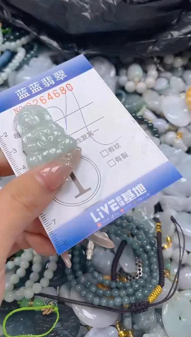 翡翠未镶嵌颈饰闪购0264680