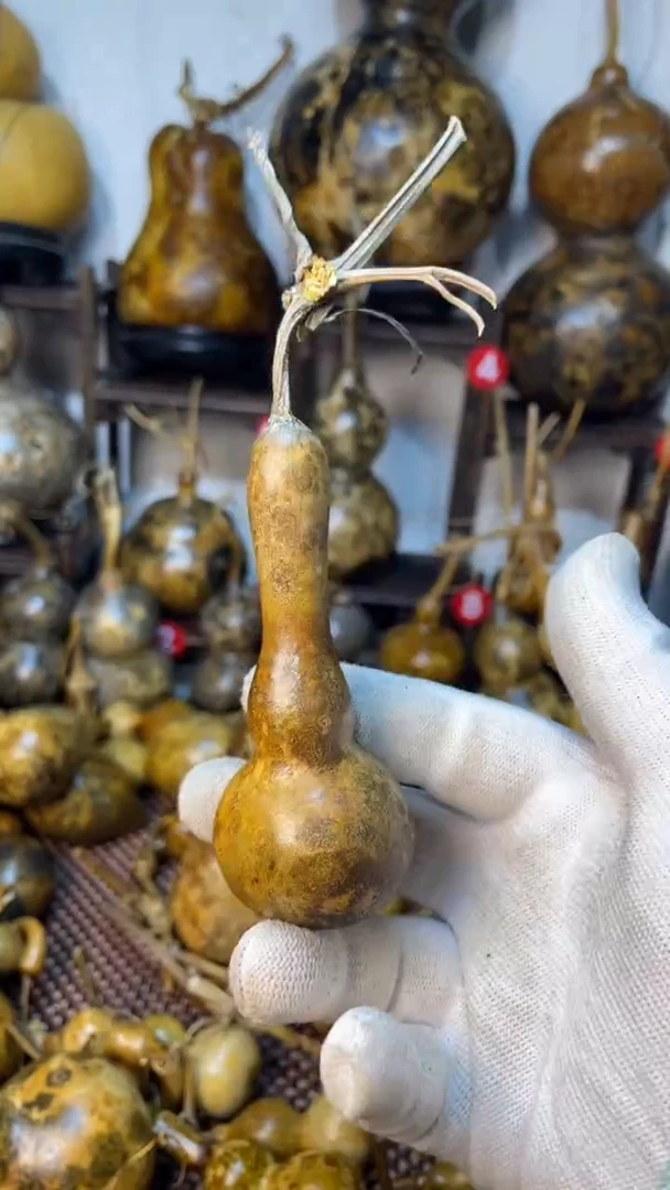 【闪购商品】葫芦葫芦葫芦葫芦