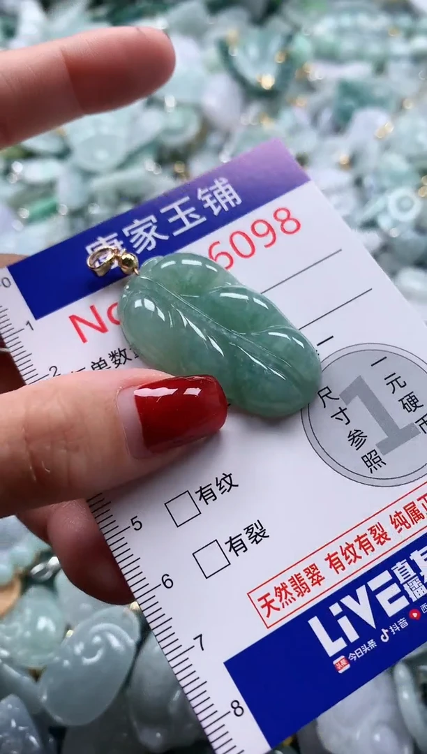 翡翠未镶嵌吊坠(不含链)6098
