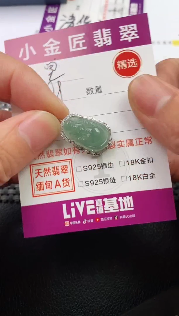 翡翠银S925镶嵌颈饰·
