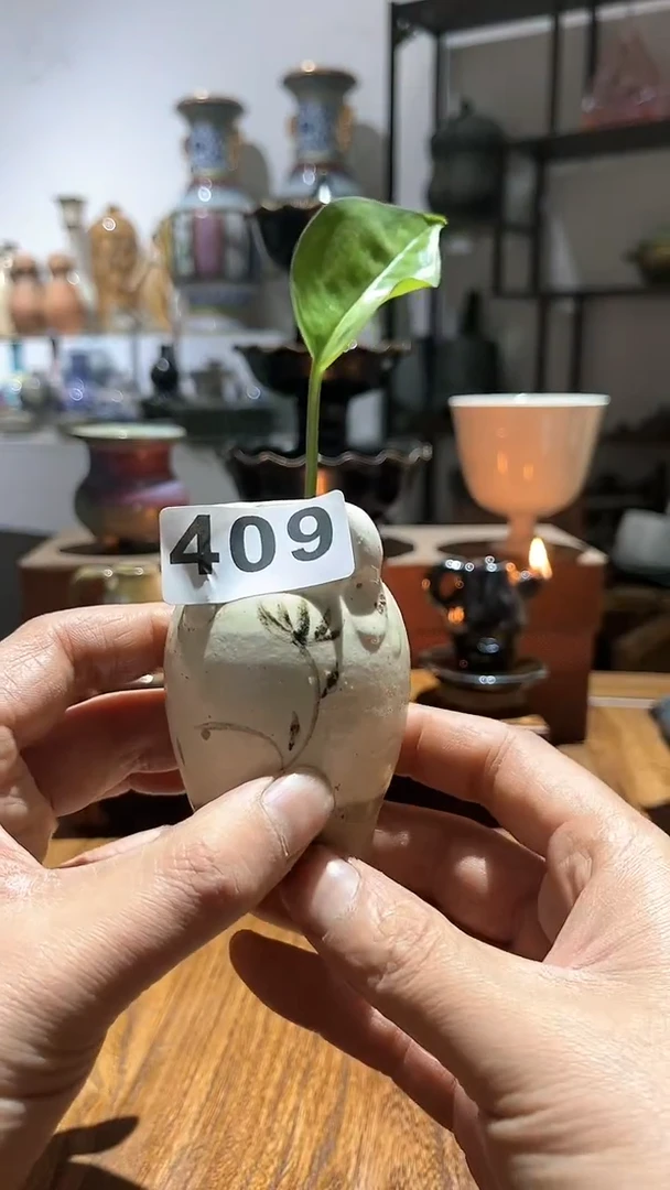 【闪购商品】摆件