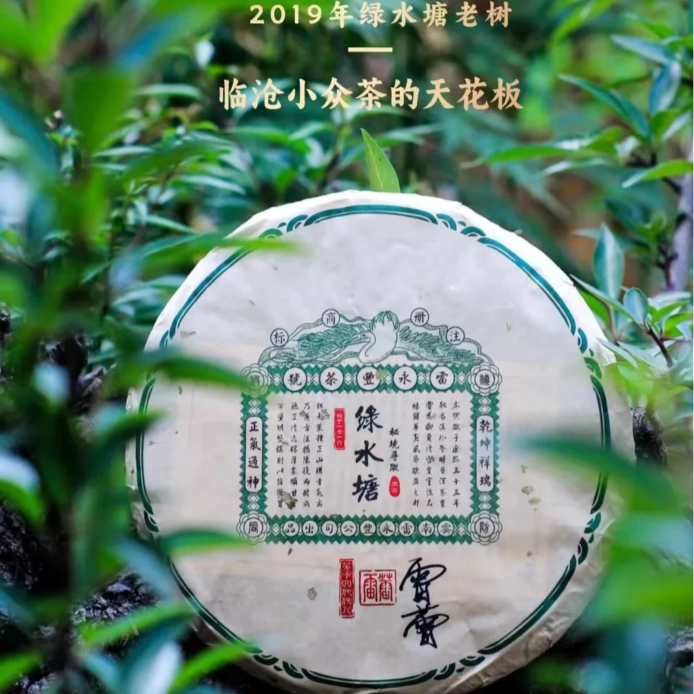 懂茶帝-雷永丰贡茶2019年绿水塘 生茶 357g