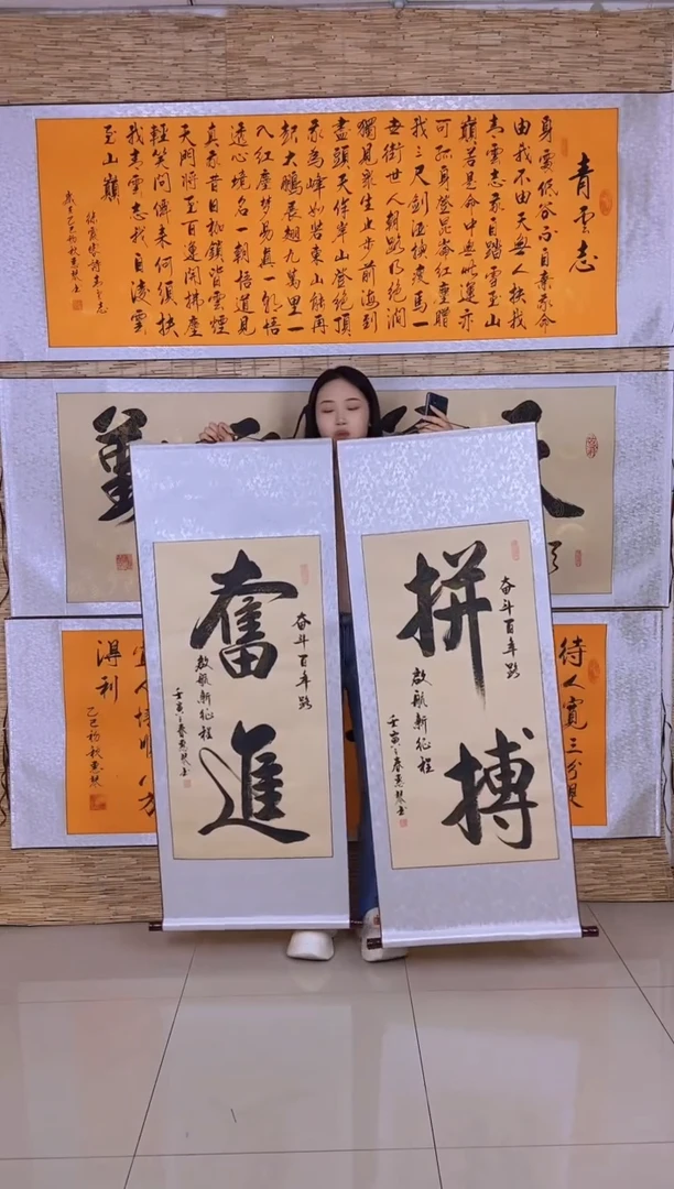 书法130*53cm仿古龙纹：奋进/拼搏