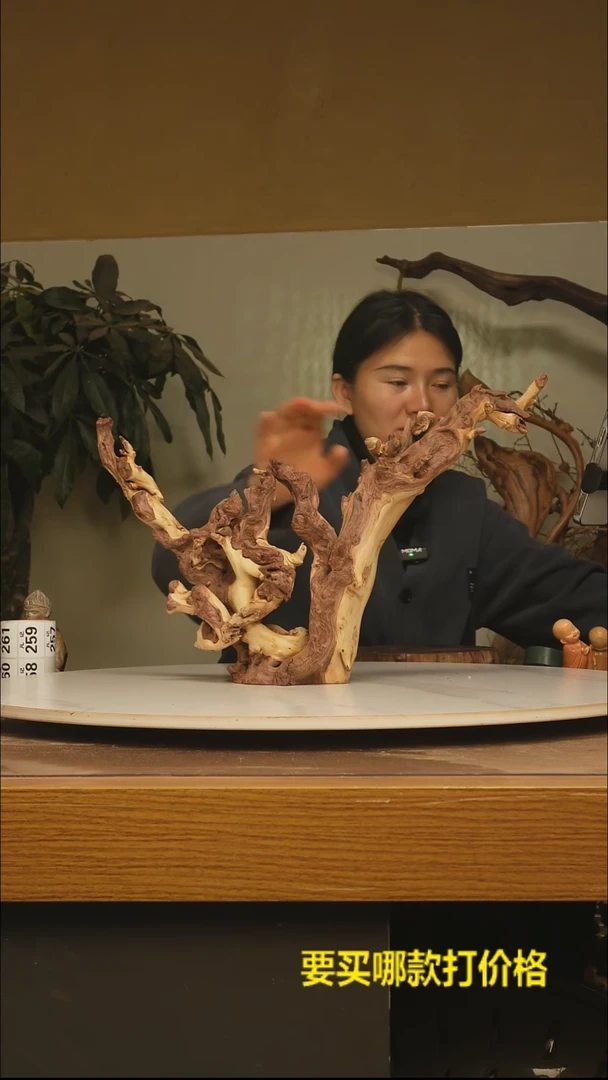 木落**水根雕摆件类257