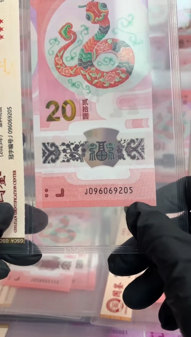 【闪购商品】塑料蛇钞 真钞【单张】9205