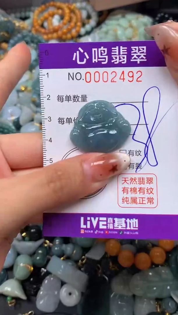 翡翠未镶嵌颈饰闪购002492