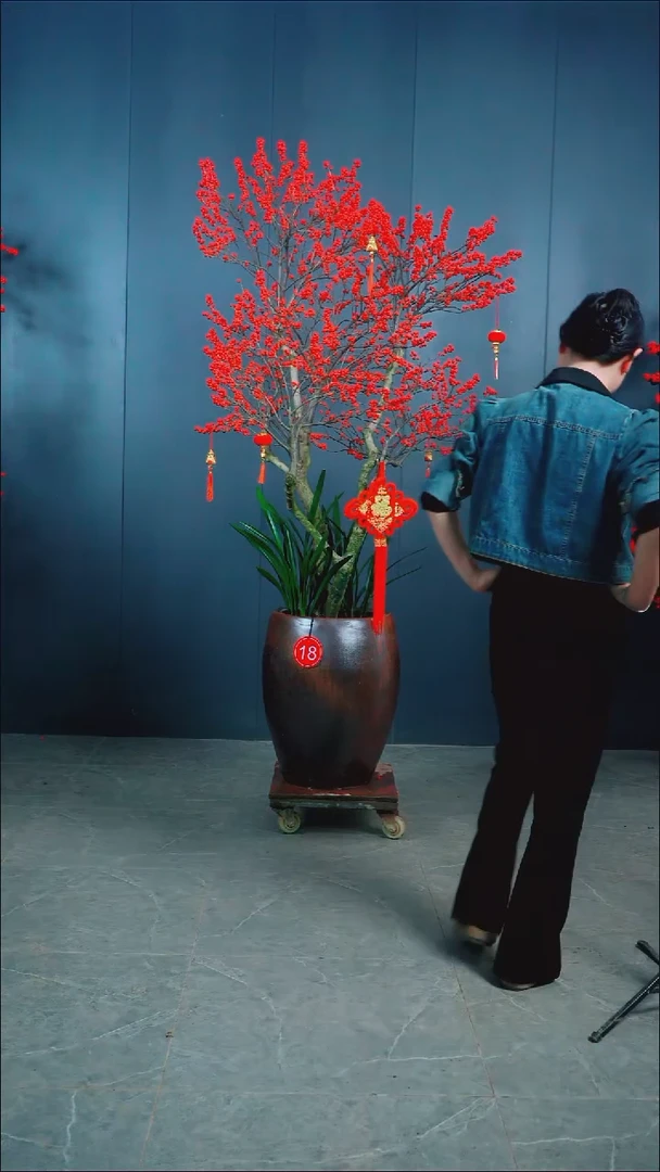 无花朵淡*北美冬青.18号.