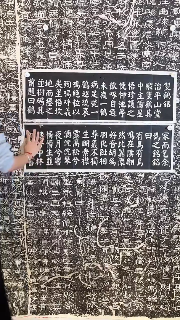 昌化石其他双鹤铭
