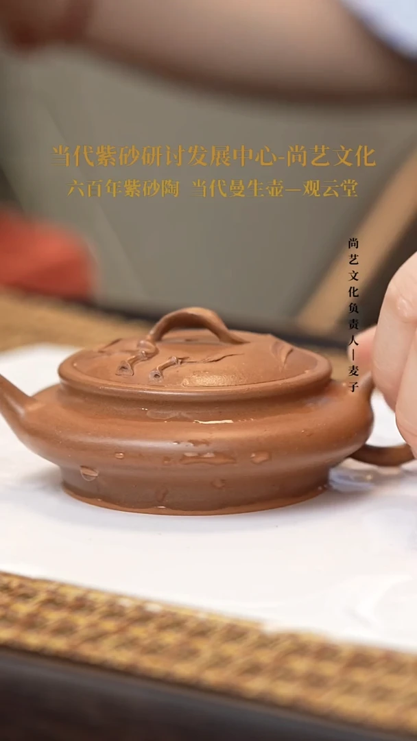 茶壶紫砂虚扁 降坡泥 FWH