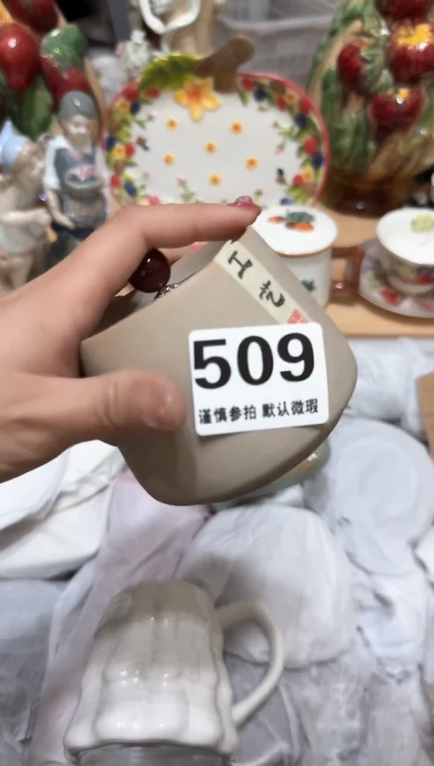 【闪购商品】瓷片509默认微瑕19包邮----
