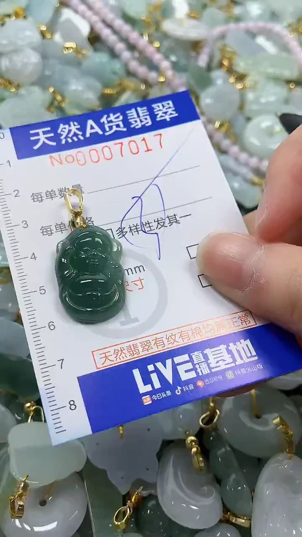 颈饰未镶嵌翡翠纯天然a货翡翠