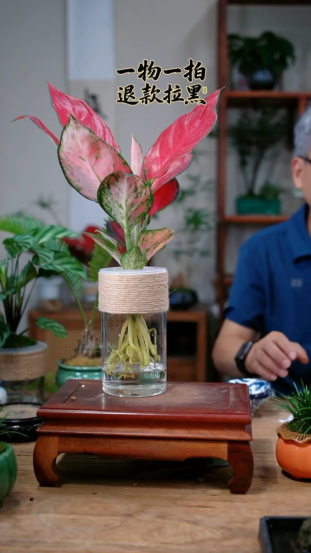 完全开放拢****泠766吉利红