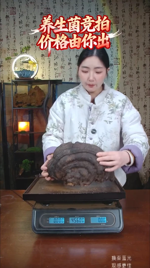 红缘拟层孔菌中国大陆【藏区野生】红缘树舌（2.53斤）30-40年份