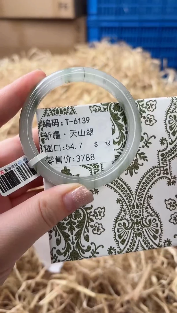 未镶嵌手镯石英质玉T-6139