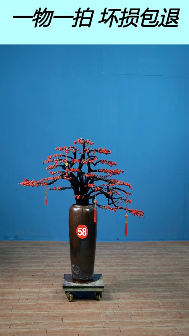 以实际为准L****n北美冬青