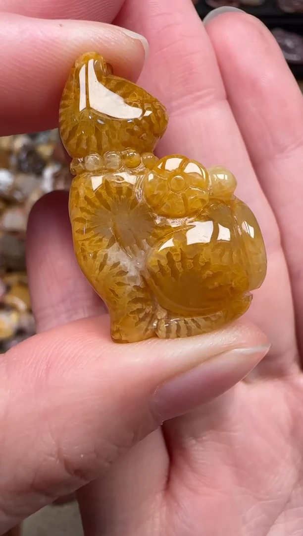 颈饰未镶嵌硅化珊瑚（珊瑚玉）803