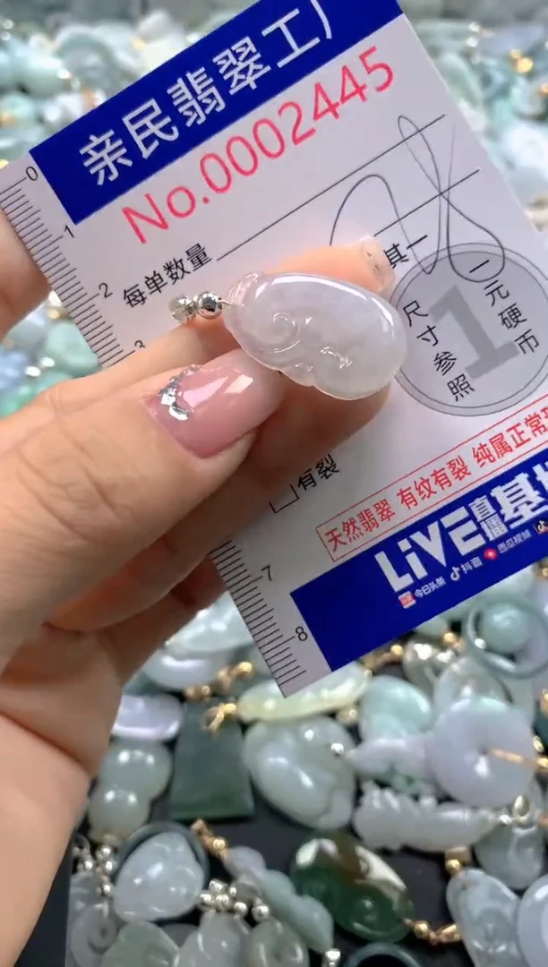 颈饰未镶嵌翡翠2445