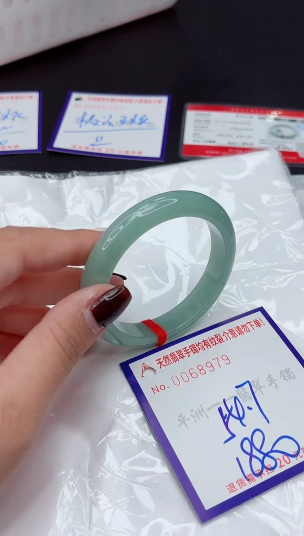 未镶嵌手镯翡翠111111111