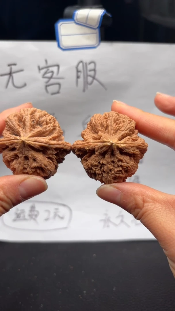 把件文玩核桃308粗筋