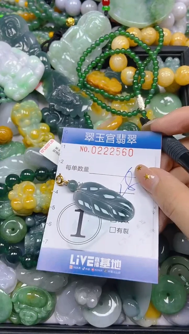 颈饰未镶嵌翡翠闪购C0222560