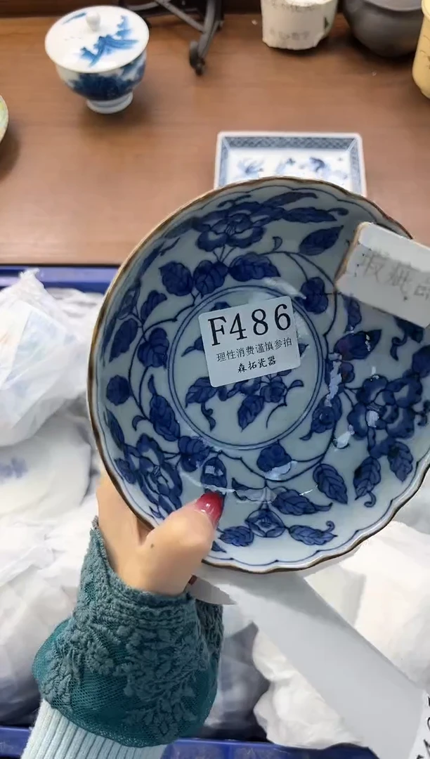 【闪购商品】瓷片----------F486