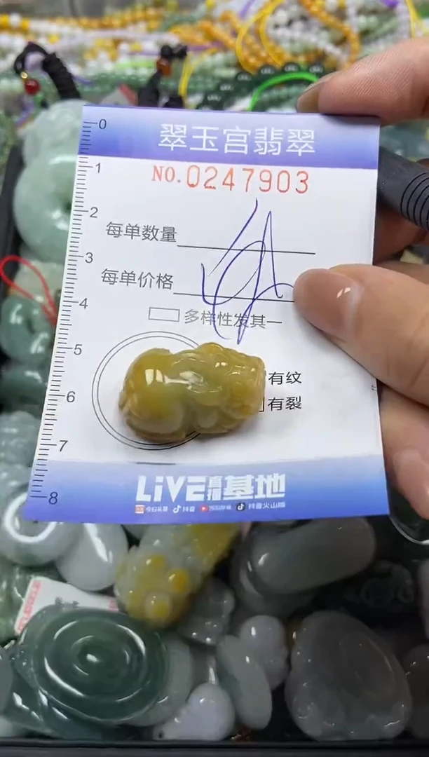 颈饰未镶嵌翡翠闪购C0247903