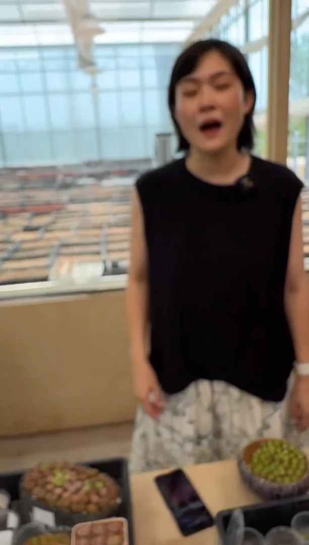 172多肉植物肉锥空蝉一颗