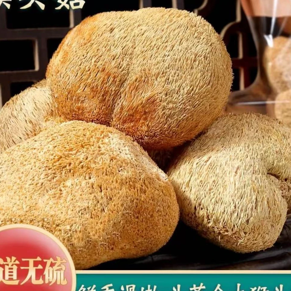 滋补东北猴头菇 炒菜煲汤