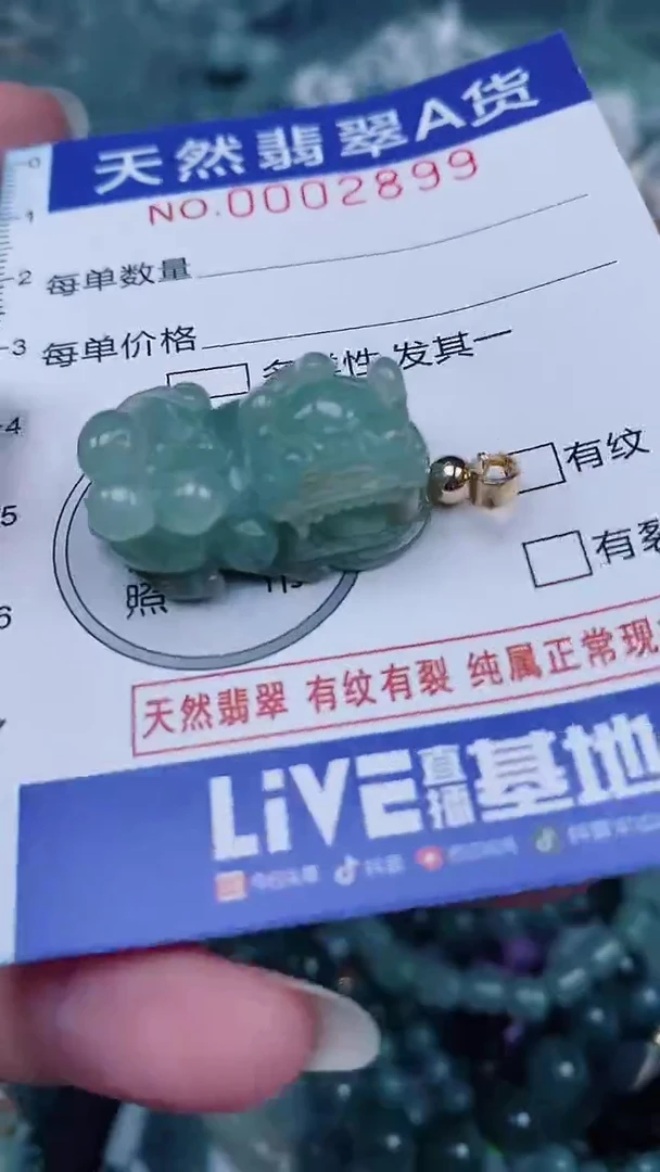 翡翠未镶嵌颈饰00002899