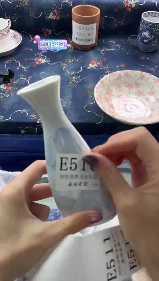 瓷片          E510