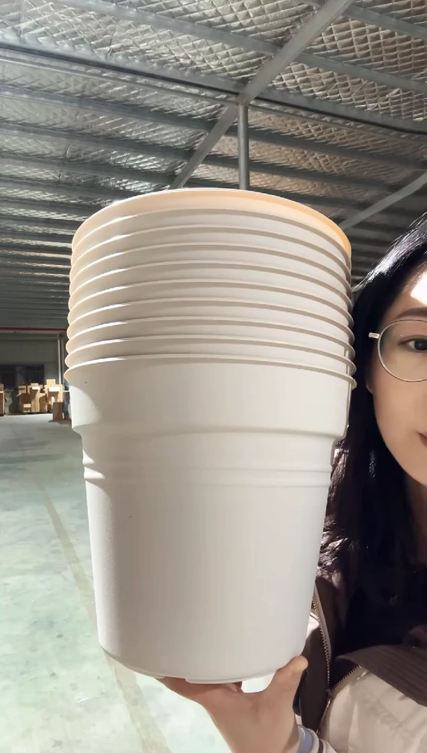 【闪购商品】塑料霍伦260米白色无托十只装