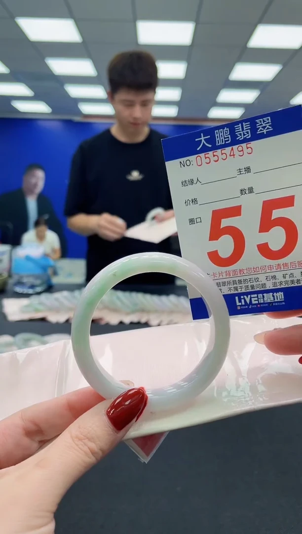 未镶嵌手镯翡翠AAAAAAAAA