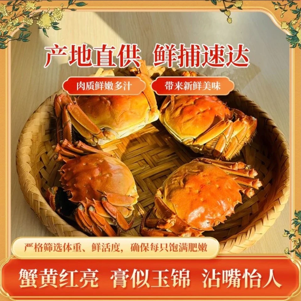 【活蟹】盘锦河蟹 公母蟹3斤(1.3-1两)(30-26只)公母各1.5斤鲜活到家 盘锦稻田蟹「顺丰包邮·明达日」