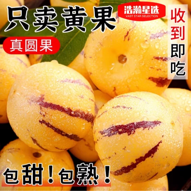 HH[坏果包赔]大果云南正宗石林人参果清甜多汁新鲜采摘带箱5斤