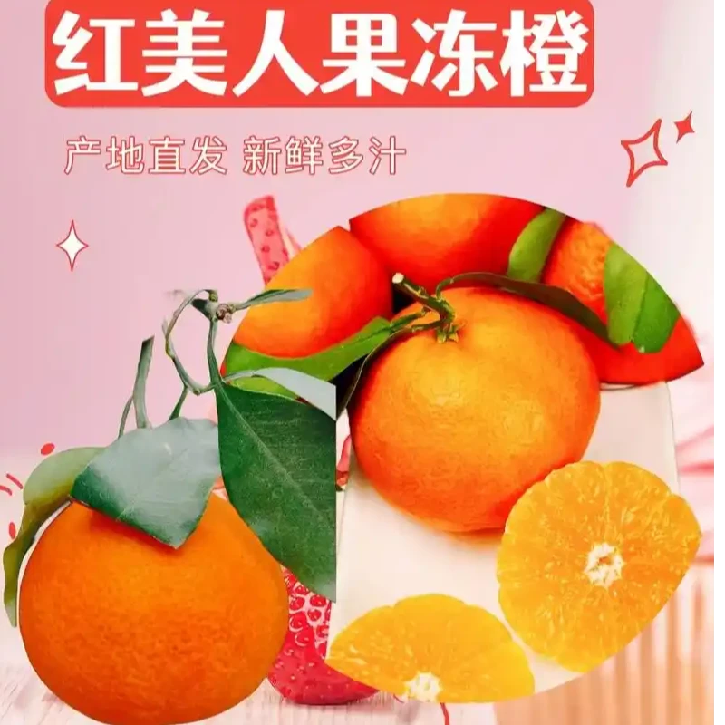 温州特产红美人果冻橙