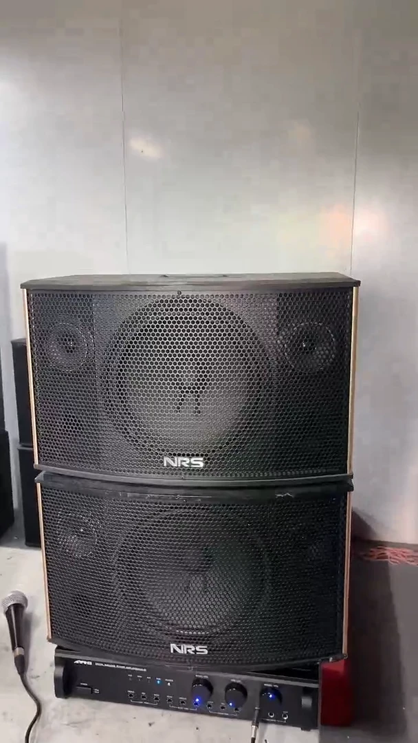 不包邮 10寸卡包音响  KTV音箱一对   运费到付