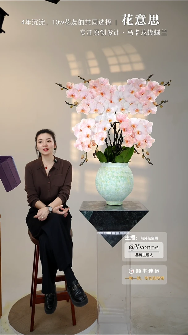 全部花朵038蝴蝶/一物一拍蝴蝶兰艺术盆景