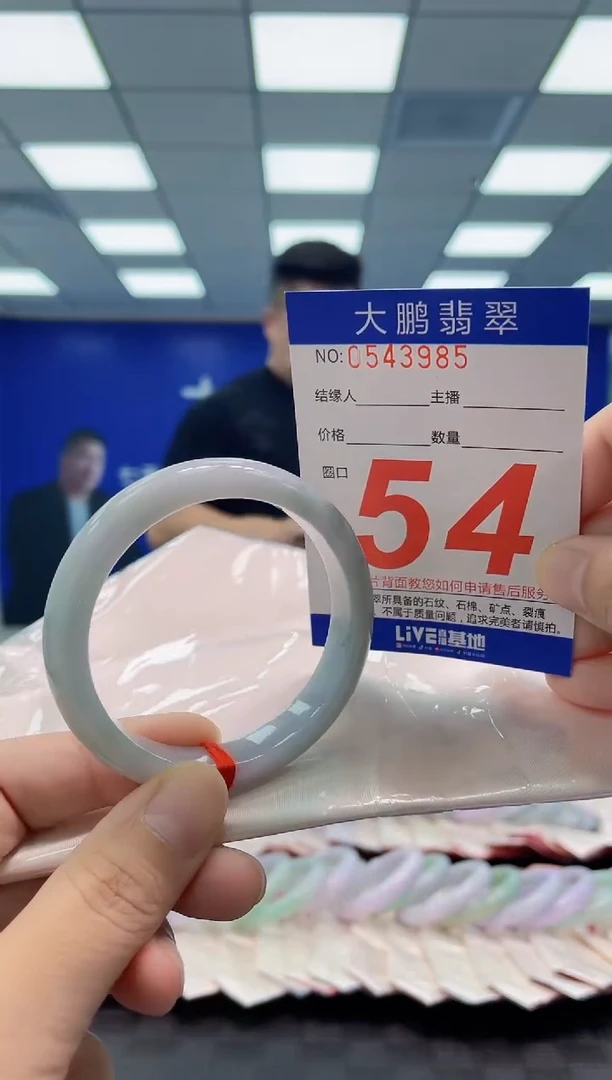 未镶嵌手镯翡翠AAAAAAAAAA