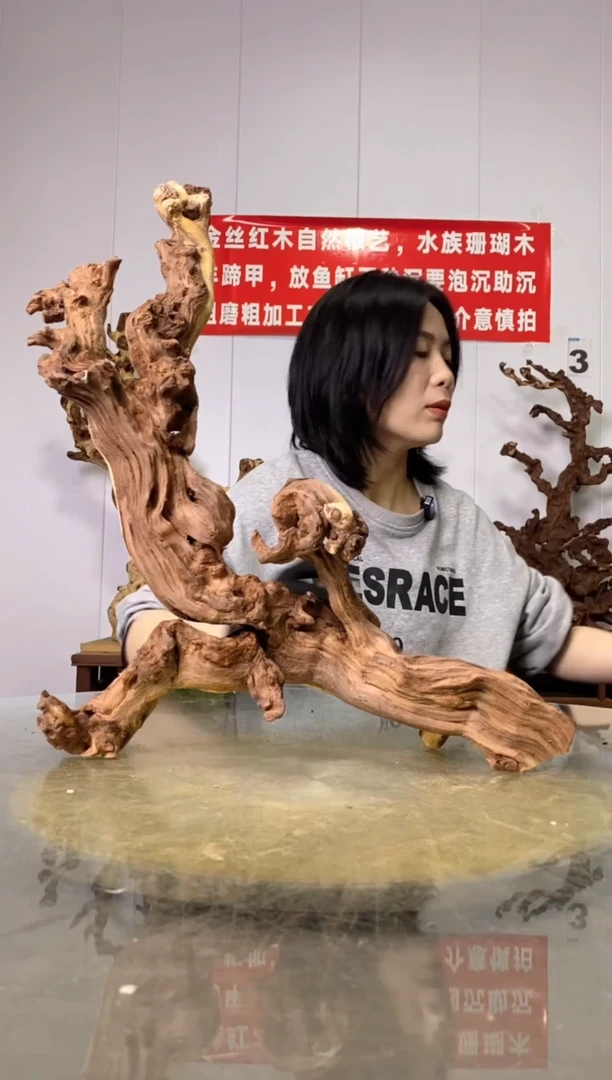 【闪购商品】木40金丝红木 羊蹄甲