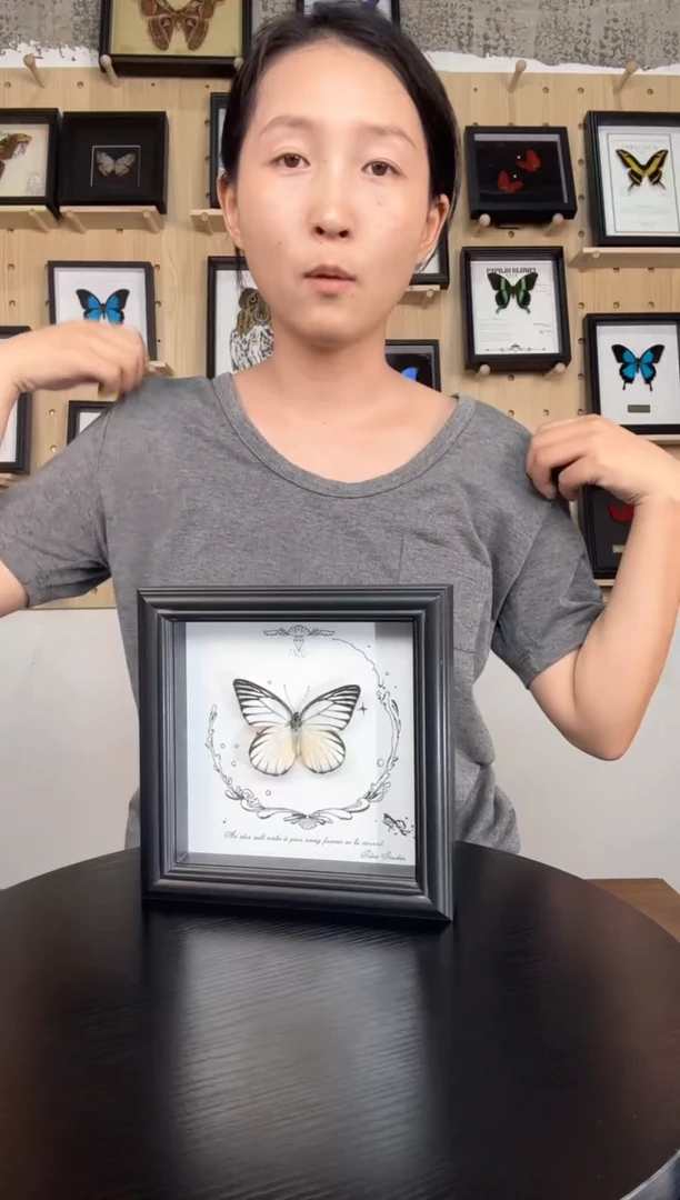 锯粉蝶蝴蝶标本装饰画6寸框