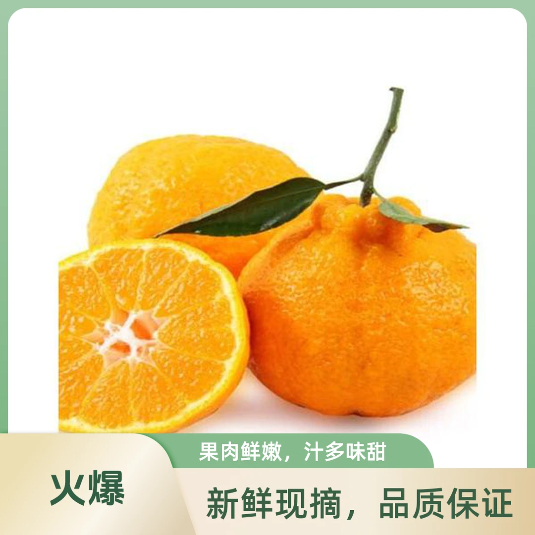 四川春见耙耙柑 7斤袋装