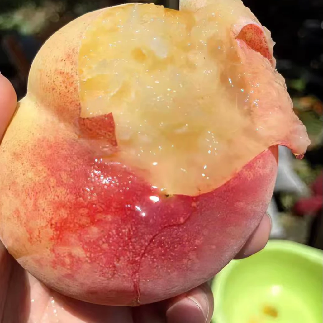 【桃王哥哥】共2箱5-6两湖景16只无锡阳山水蜜桃爆汁鲜甜顺丰京东R