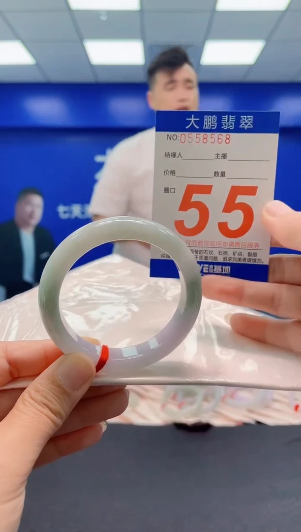 未镶嵌手镯翡翠AAAAAAAAA