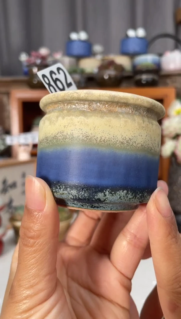 瓷片862小芳直播编号
