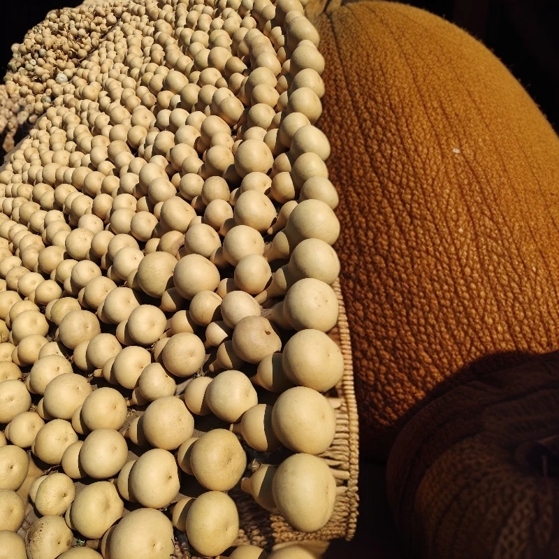 文玩葫芦  小八宝葫芦 葫芦摆件 葫芦工艺品 葫芦手把件 葫芦挂件